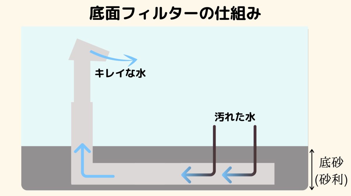 底面フィルターの特徴と使い方 初心者におすすめの商品も紹介 たまおはアクアリウムを流行らせたい