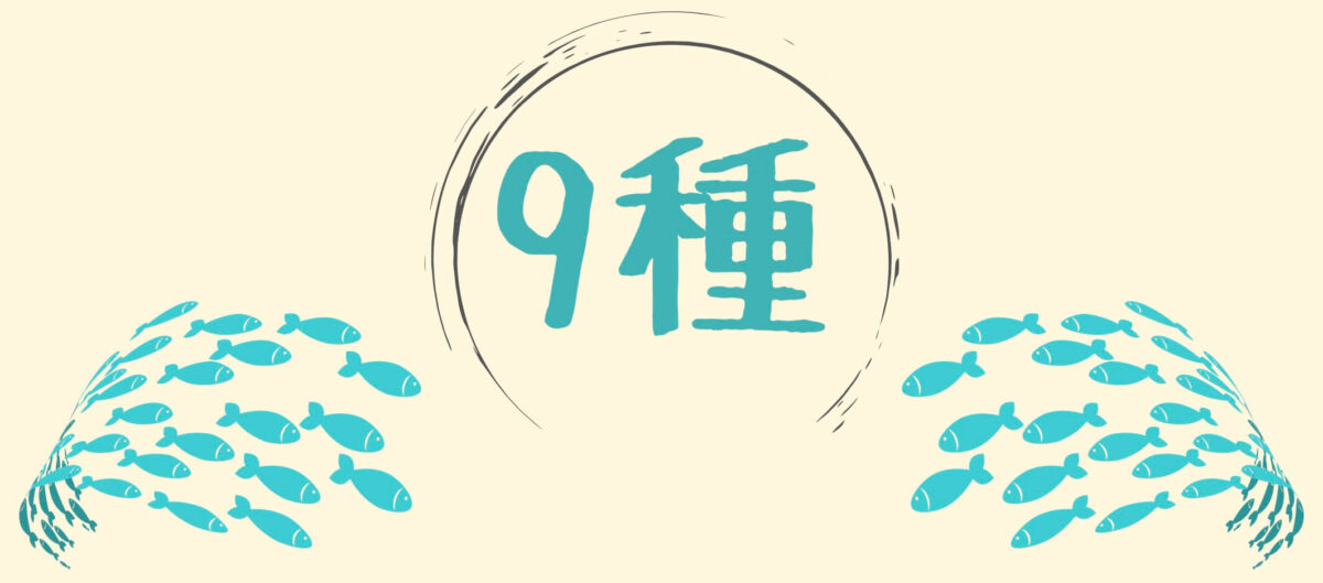 9種