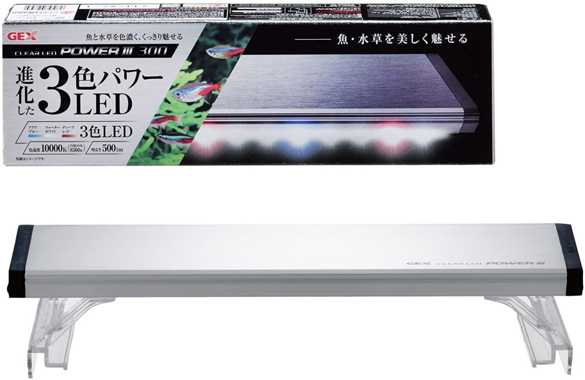 ライト