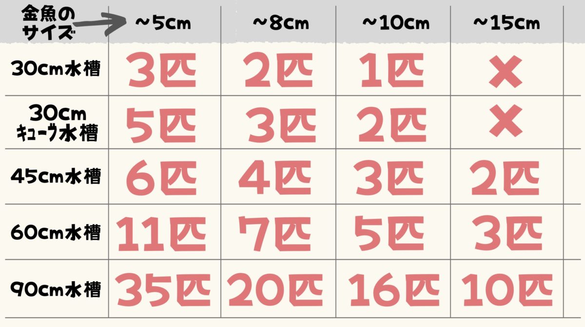 事前準備編 金魚の飼育方法は 初心者向けにわかりやすく解説 たまおはアクアリウムを流行らせたい