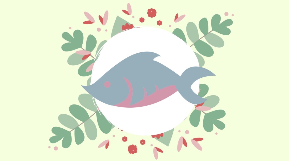 元気のいい熱帯魚