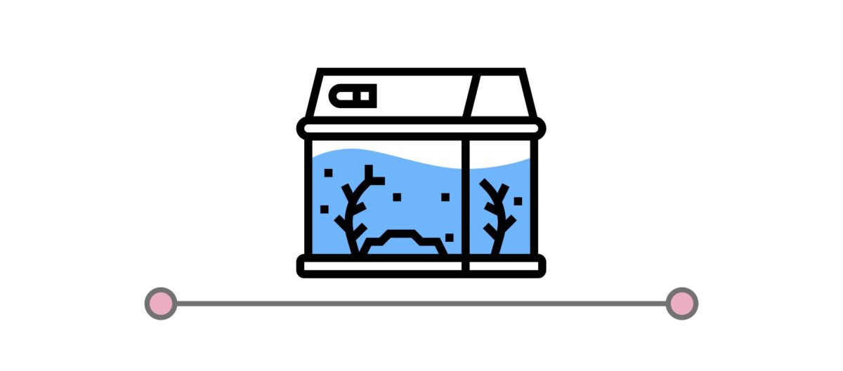 水槽