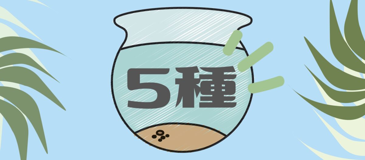 5種