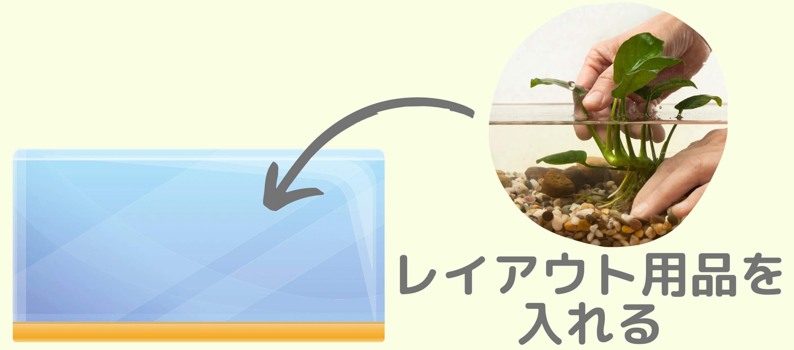 レイアウト
