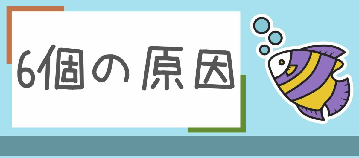6個の原因