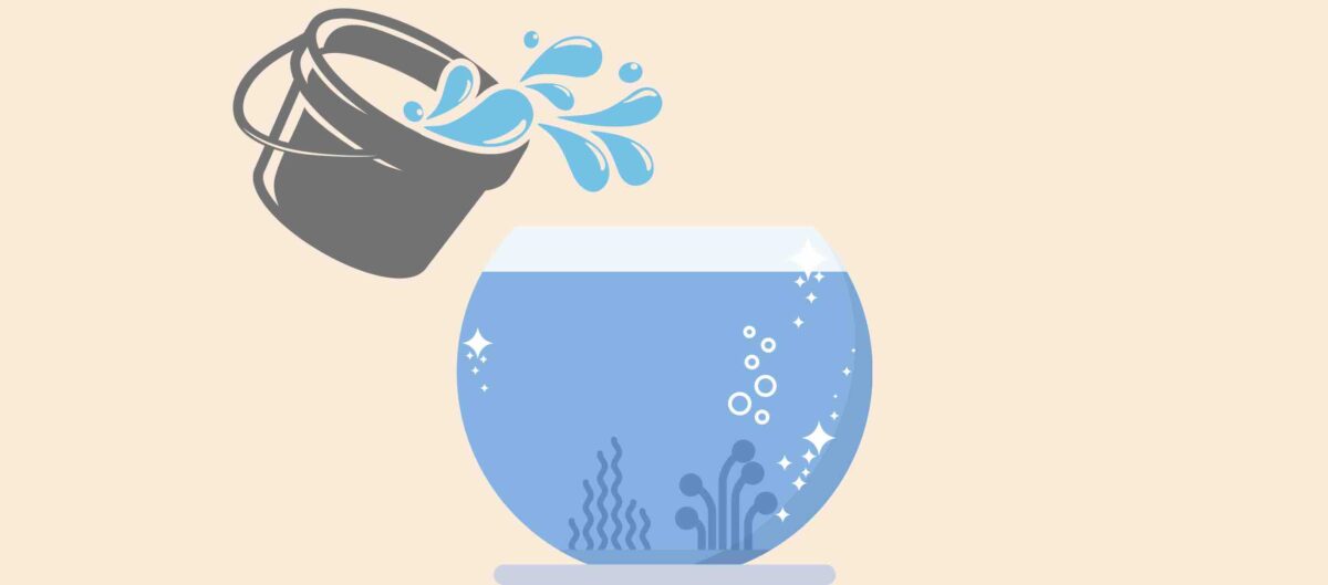 水換え