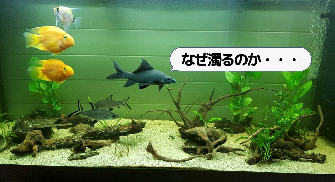濁る原因
